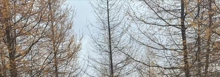 �ǳ��ÿ�˿����˿��Ĩ��ȹ